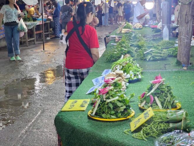 Wat Chaloem Phrakiat, Sacred Valley & Rare Forest Market. - Inclusions for the Tour