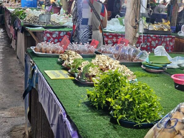 Wat Chaloem Phrakiat, Sacred Valley & Rare Forest Market. - Exclusions From the Tour
