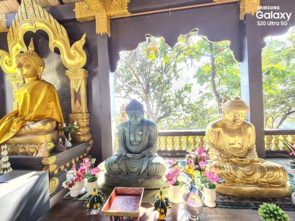 Wat Doi Phra Chan & Wat Hariphunchai & Rare Forest Market. - Cultural and Culinary Highlights