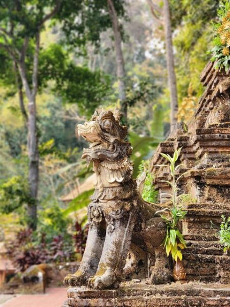 Wat Doi Suthep& Pha Lat, Wat Umong, Wat Chiang Man 5 Temples - Additional Tips for Visitors