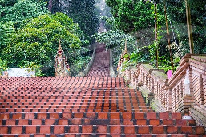 Wat Doi Suthep Temple and White Meo Hilltribe Village Half-Day Tour From Chiang Mai - Feedback and Reviews