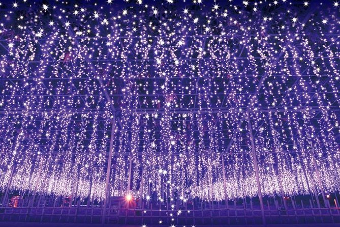 Watarase Keikoku Railway, Takatsudo Gorge,Illumination at Ashikaga Flower Park - Tour Details and Meeting Point