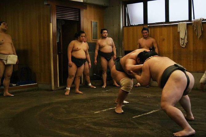 Watch Morning Practice at a Sumo Stable in Tokyo - Logistics and Practical Information