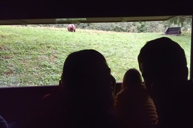 Watching Brown Bear Experience and Gulyas Taste From Brasov - Inclusions and Exclusions