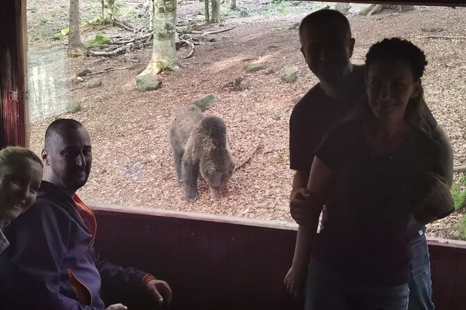 Watching Brown Bear Experience and Gulyas Taste From Brasov - Additional Details