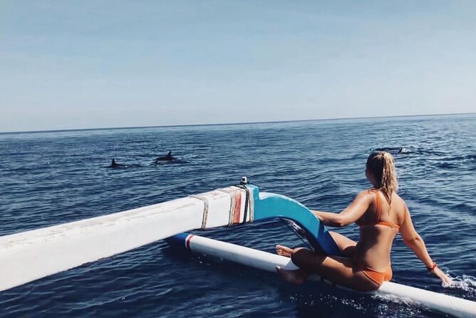 Watching Dolphins Swimming and Snorkeling in Lovina Bali - Good To Know