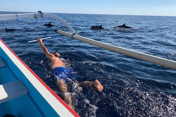 Watching Dolphins Swimming and Snorkeling in Lovina Bali - Additional Information
