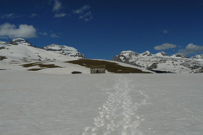 Watching Wildlife in Ordesa National Park (Private Tour) - Pricing Details