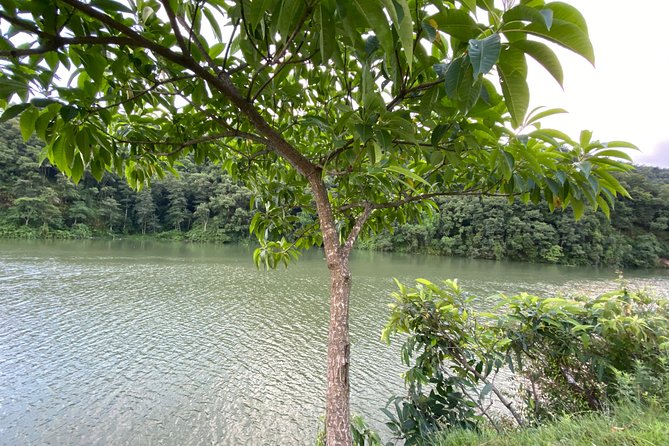 Water Fall and Fewa Lake Tour - Exploring Fewa Lake