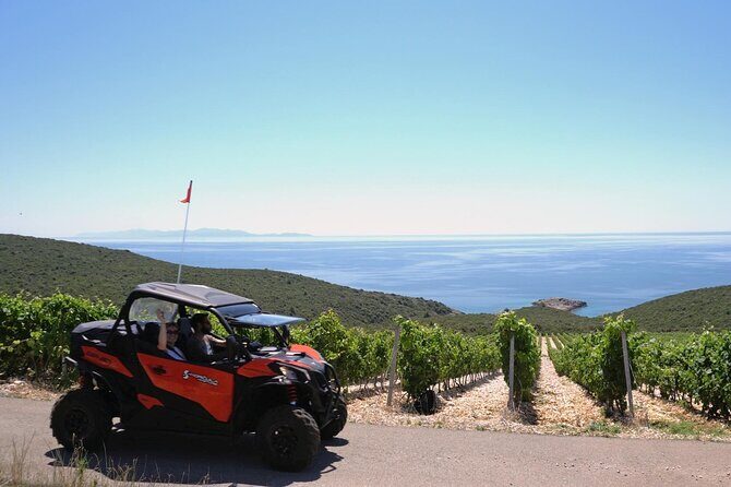 Water Roller Coaster in Lumbarda - Who Should Book This Tour?