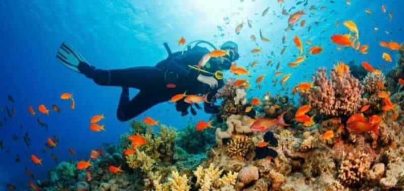 water sports experience in bali - An Overview of the Water Sports in Bali