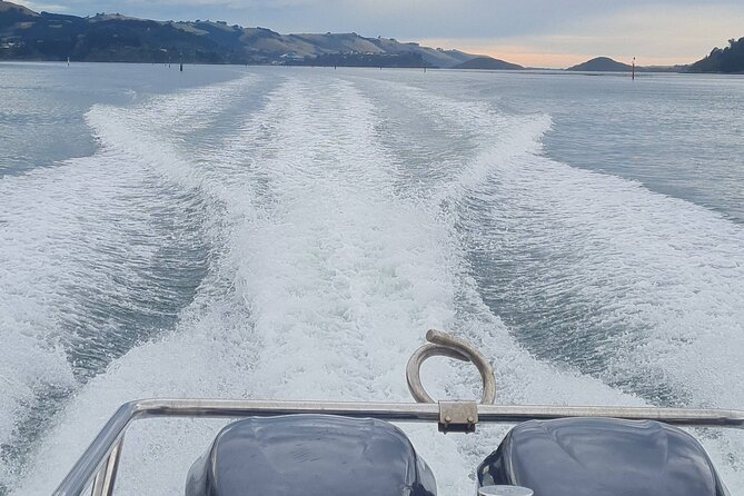 Water Taxi and Shuttle to Larnach Castle - Accessibility Information