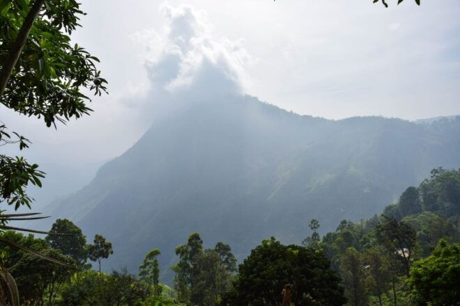 Waterfall Abseiling in Kitulgala - Overall Description