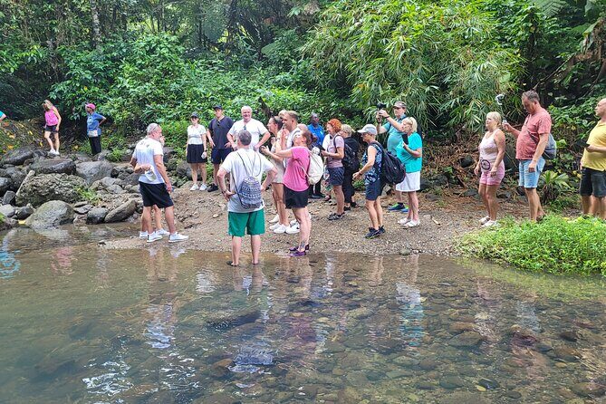 Waterfall and Beach Safari in Santa Lucia - What Reviewers Say