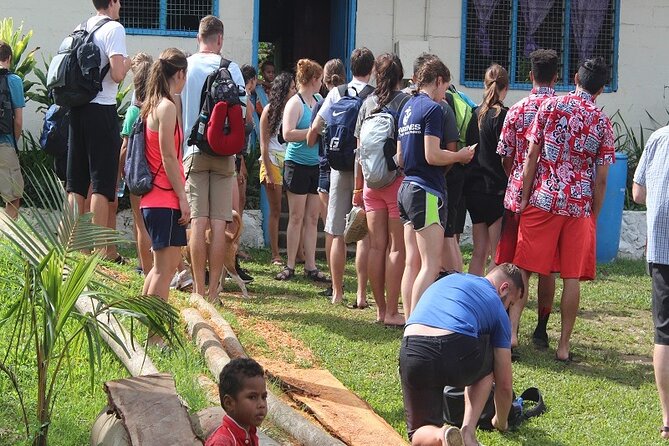 Waterfall and Fijian Village Tour With Light Lunch Ex Nadi Area Hotels - Pricing and Options