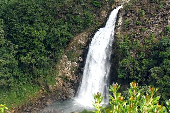 Waterfall Climbing and Zipline Tour From Medellin - Itinerary Overview