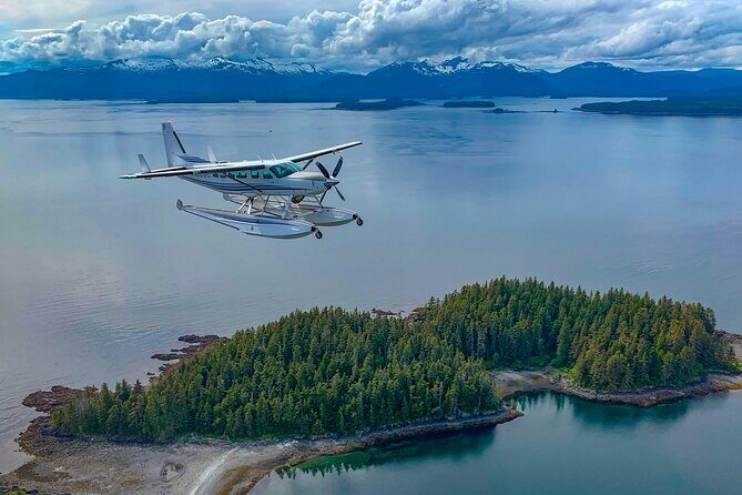 Waterfall Creek Brown Bear Viewing Juneau - An Overview of the Experience