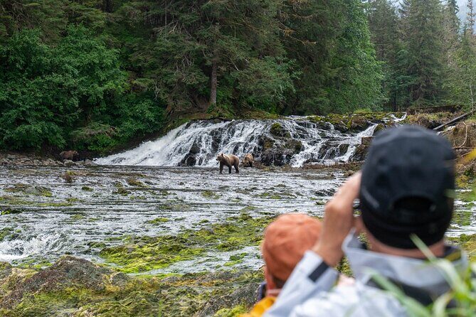 Waterfall Creek Brown Bear Viewing Juneau - Final Thoughts