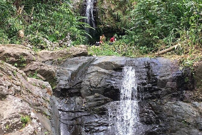 Waterfall Curtain Hidden Rainforest Gem Las Cascadas Delicias - What Travelers Should Know