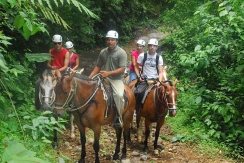 Waterfall El Limón and Cayo Levantado Island from Bayahibe - An In-Depth Look at the Itinerary