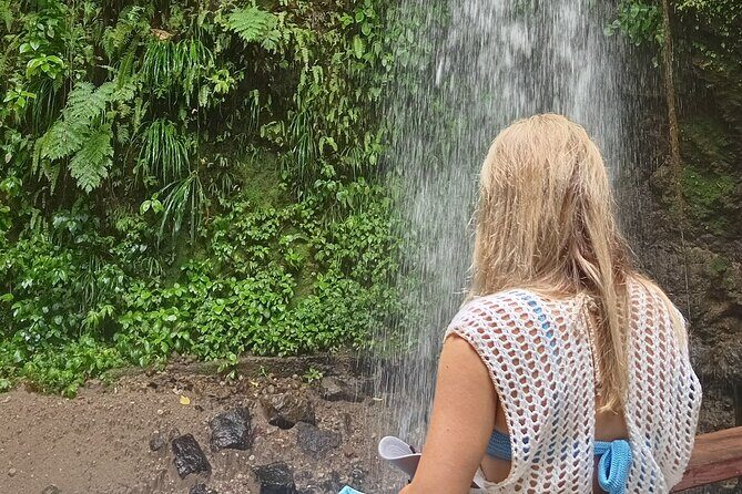 Waterfall Expedition - Final Summary