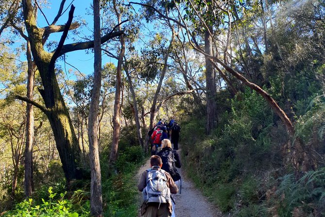 Waterfall Gully to Mt Lofty Guided Hike - Reviews