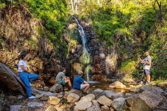 Waterfall Gully to Mt Lofty Guided Hike - Common Questions