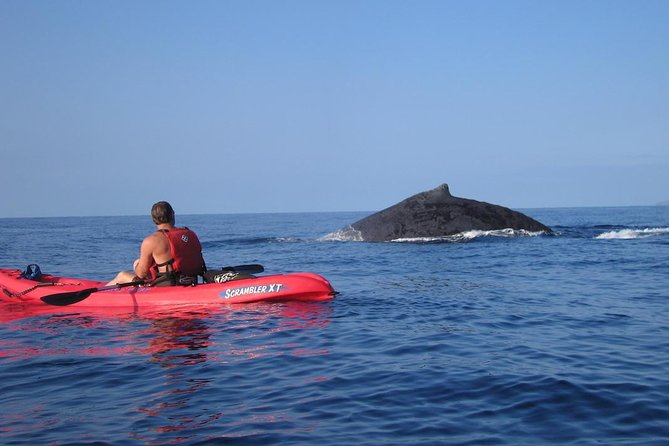 Waterfall Hike and Kayak Snorkel & Paddle From Makena - Cancellation Policy