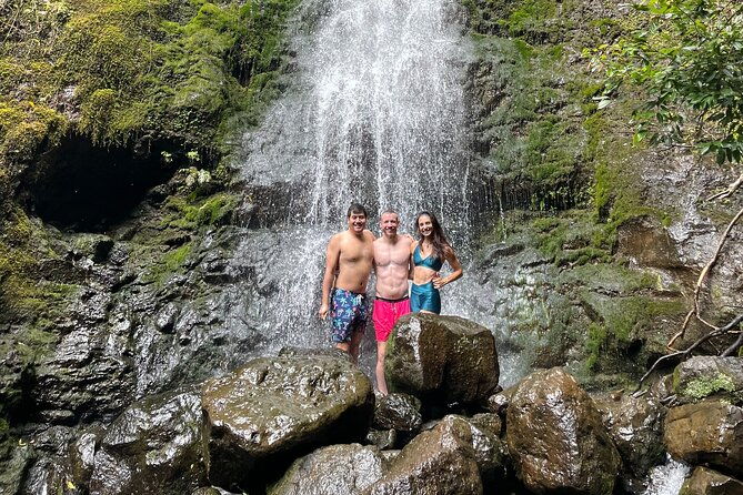 Waterfall Hike in Hawaii - Private Transportation/Group - Overview of the Waterfall Hike Experience
