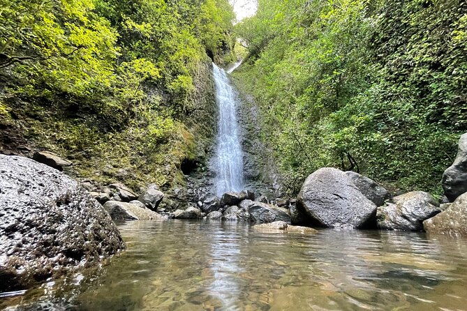 Waterfall Hike in Hawaii - Private Transportation/Group - Who This Tour Is Best For