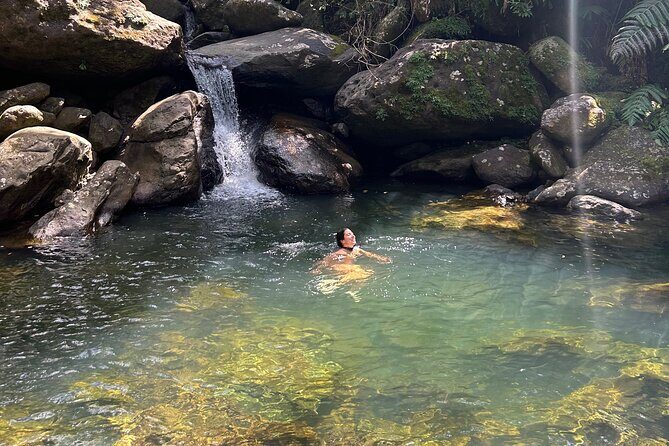 Waterfall Hike in Remote Area of El Yunque Rainforest; San Juan - Good To Know