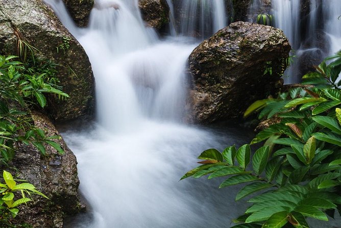 Waterfall Hike Rainforest Adventure "Voted Best Of Maui" Includes Chocolate Tour - Tour Overview