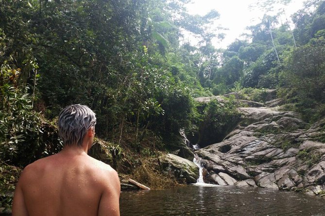 Waterfall Jungle Jeep Adventure and Cachaca Tour From Paraty - Tour Highlights