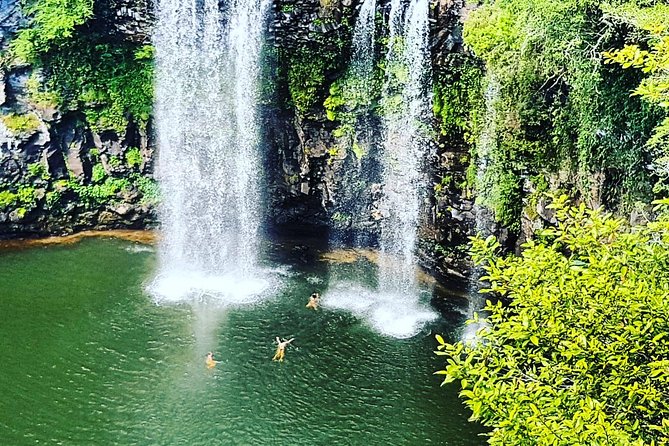 Waterfall, Rainforest & Winery Discovery Tour: Coffs Harbour - Traveler Photos and Reviews
