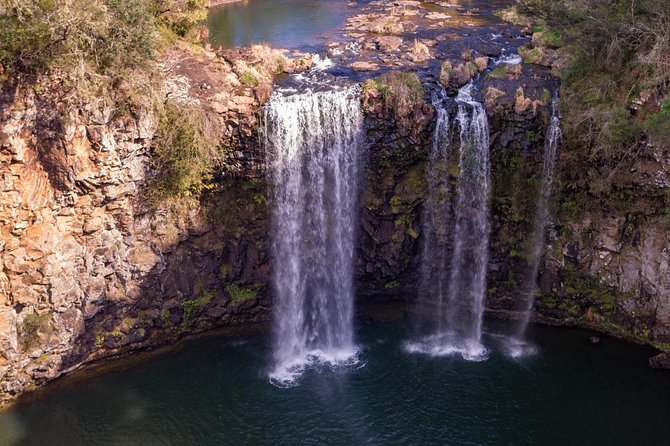 Waterfall, Rainforest & Winery Discovery Tour: Coffs Harbour - Common Questions