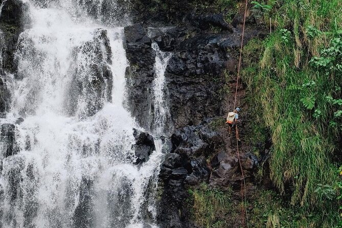 Waterfall Rappelling at Kulaniapia Falls: 120 Foot Drop, 15 Minutes From Hilo - Cancellation Policy