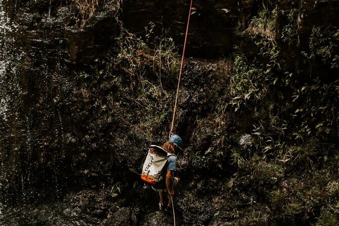 Waterfall Rappelling at Kulaniapia Falls: 120 Foot Drop, 15 Minutes From Hilo - The Sum Up