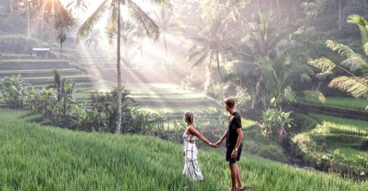 Waterfall, Temple, Rice Terraces & Monkey Forest Tour - Tour Highlights