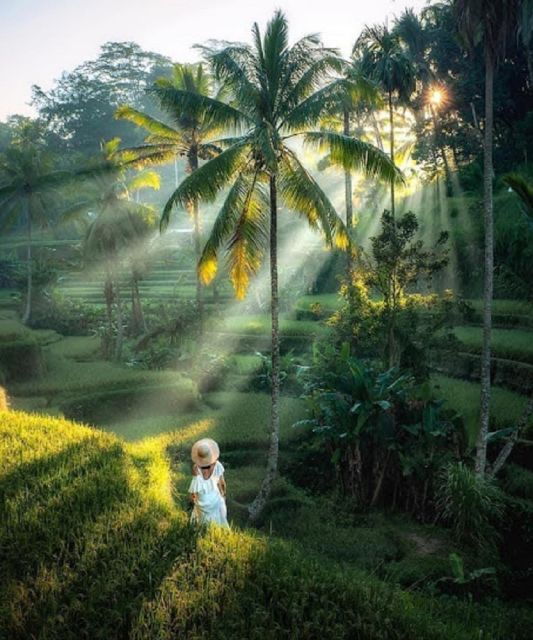 Waterfall, Temple, Rice Terraces & Monkey Forest Tour - Tour Itinerary