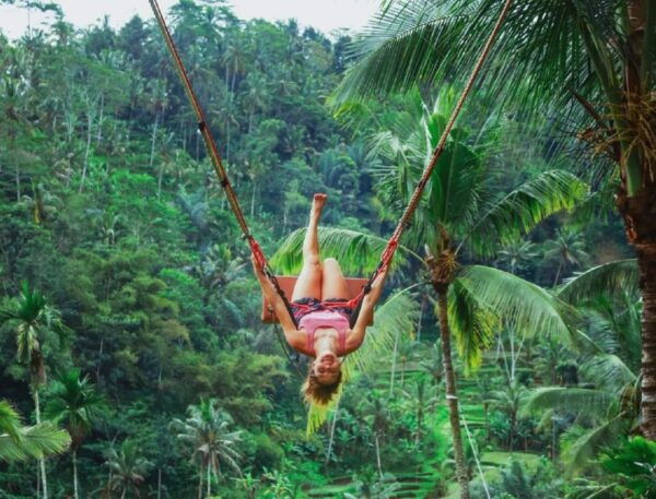 Waterfall, Temple, Rice Terraces & Monkey Forest Tour - The Sum Up