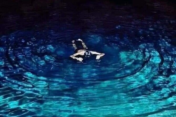 Waterfall Tour & nine arch bridge Ella - Good To Know