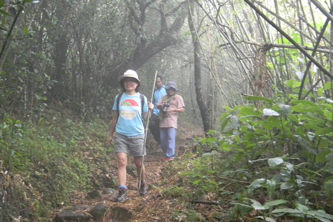 Waterfall Trekking in Knuckles Mountain Range - Overview and Experience