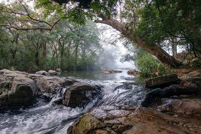 Waterfall Trekking in Knuckles Mountain Range - Meeting and Pickup