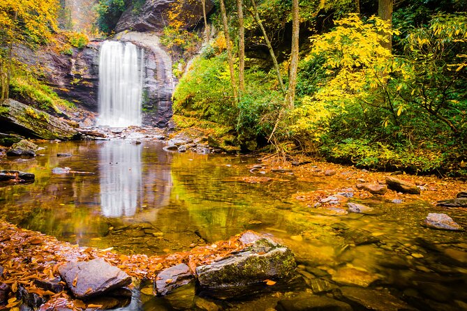 Waterfalls and Blue Ridge Parkway Hiking Tour With Expert Naturalist - Tour Details
