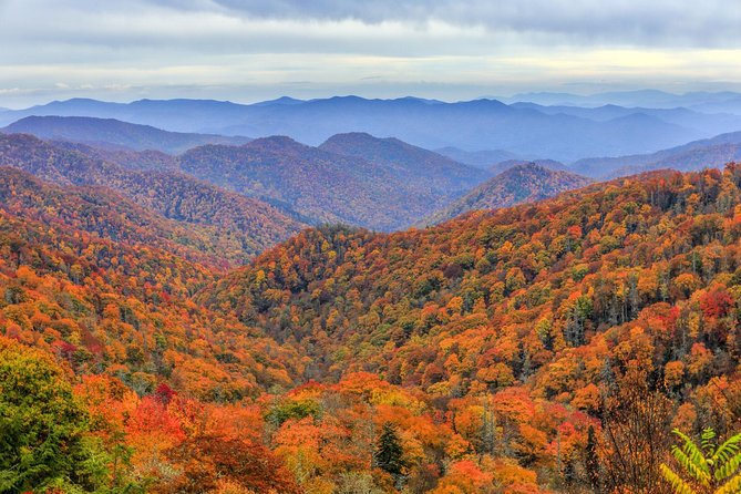 Waterfalls and Blue Ridge Parkway Hiking Tour With Expert Naturalist - The Sum Up