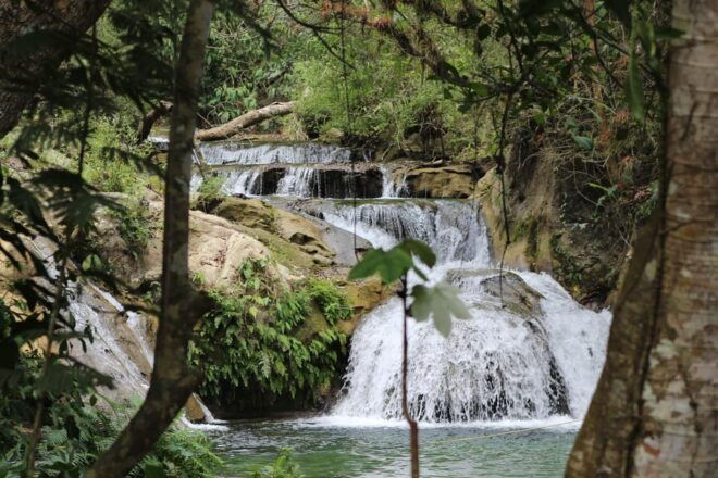 Waterfalls, Coffee and Adventure Tour, Huatulco - Tour Inclusions