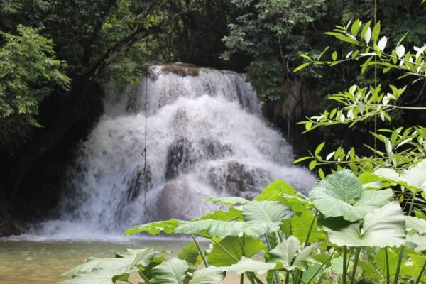 Waterfalls, Coffee and Adventure Tour, Huatulco - Practical Information