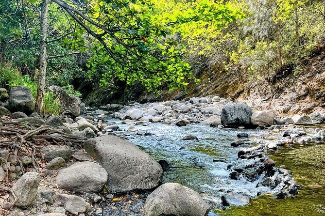 Waterfalls, Hike & Rivers Tour from Kahului - Introduction