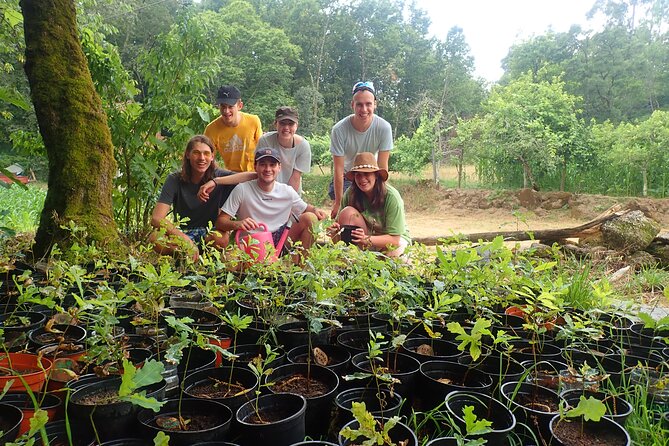 Waterfalls, Lagoons & Old Village in Gerês Park With Lunch Included - Enjoyable Activities and Experiences