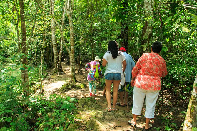 Waterfalls & Nature Day-Trip Experience - Explore Cascadas Magicas De Copalitilla